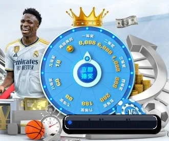 星空网页版登录入口 APP 深度功能